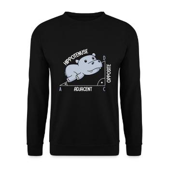 Mathématiques Hippotenuse mathématiques amusantes - Sweat-shirt Unisexe - noir - Devant - Alina (178cm) & Michal (187cm)