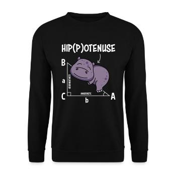 Math teacher Hippotenuse Mathematics - Unisex Sweatshirt - black - Front - Alina (178cm) & Michal (187cm)