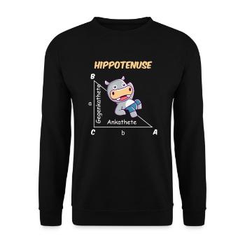 Drôle de mathématicien Design Hippotenuse - Sweat-shirt Unisexe - noir - Devant - Alina (178cm) & Michal (187cm)