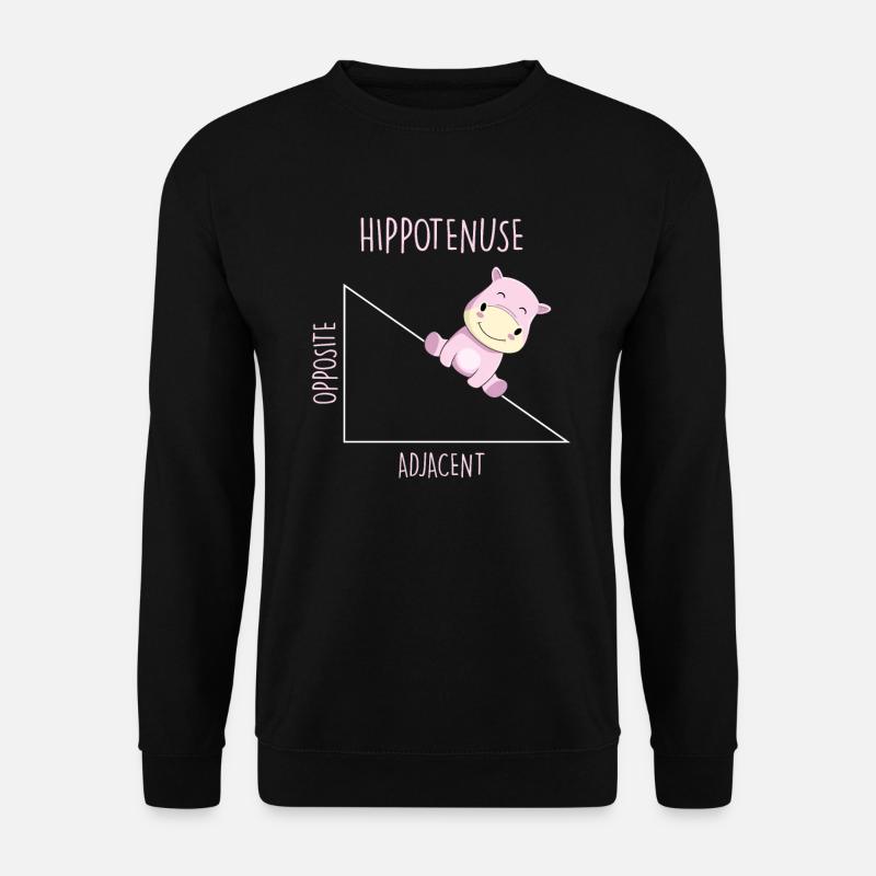 Hippotenuse Mathelehrer - Unisex Pullover - Schwarz