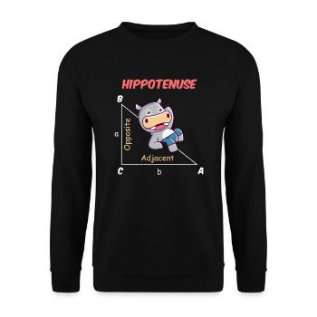Drôle de mathématicien Design Hippotenuse - Sweat-shirt Unisexe - noir - Devant - Alina (178cm) & Michal (187cm)