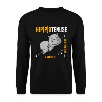 Nieldpferd Hippo Hippotenuse Algebra Mathelehrer - Unisex Pullover - Schwarz - Vorne - Alina (178cm) & Michal (187cm)
