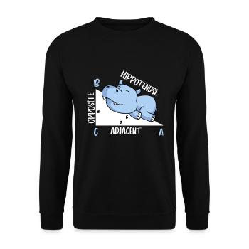 Hippotenuse Professeur de mathématiques Fun Math - Sweat-shirt Unisexe - noir - Devant - Alina (178cm) & Michal (187cm)