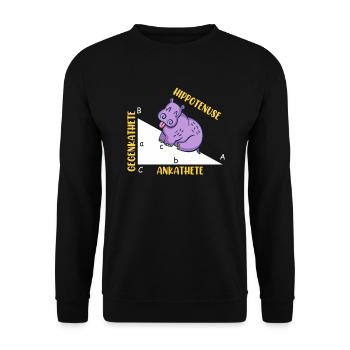 Hippotenuse Math - Sweat-shirt Unisexe - noir - Devant - Alina (178cm) & Michal (187cm)