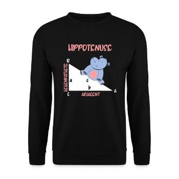Mathématicien Hippotenuse Hippo Triangle - Sweat-shirt Unisexe - noir - Devant - Alina (178cm) & Michal (187cm)