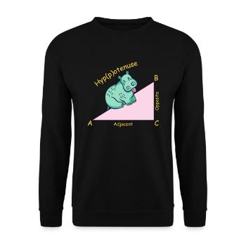 Professeur de mathématiques mathématicien Hippotenuse - Sweat-shirt Unisexe - noir - Devant - Alina (178cm) & Michal (187cm)