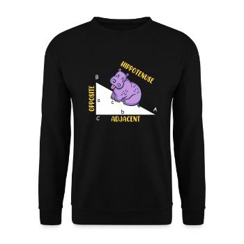 Hippotenuse Math - Sweat-shirt Unisexe - noir - Devant - Alina (178cm) & Michal (187cm)