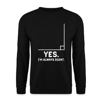 Ja ich habe immer Recht lustiges Mathe - Unisex Pullover - Schwarz - Vorne - Alina (178cm) & Michal (187cm)
