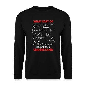 Quelle partie des mathématiques ne comprenez-vous pas? - Sweat-shirt Unisexe - noir - Devant - Alina (178cm) & Michal (187cm)