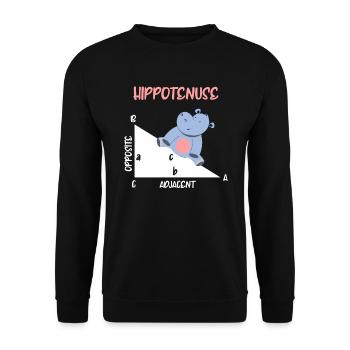 Mathématicien Hippotenuse Hippo Triangle - Sweat-shirt Unisexe - noir - Devant - Alina (178cm) & Michal (187cm)
