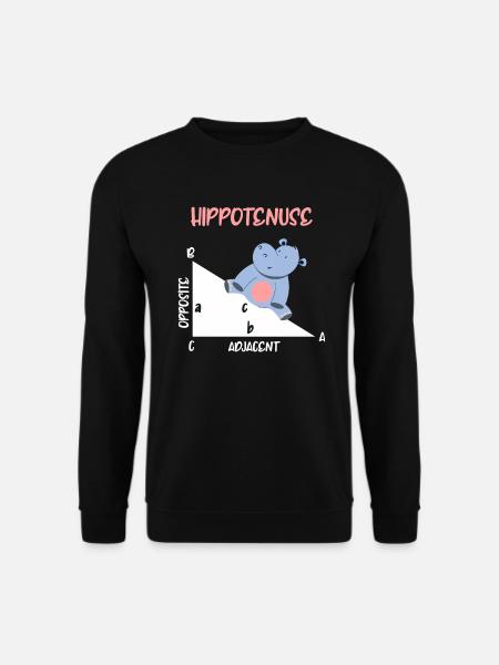 Mathematiker Hippotenuse Hippo Dreieck - Unisex Pullover - Schwarz