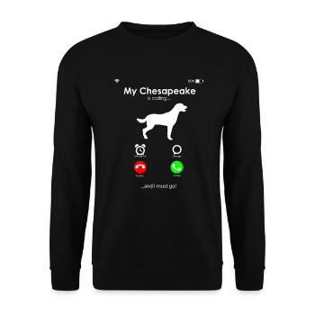 Chesapeake Bay Retriever - Unisex Pullover - Schwarz - Vorne - Alina (178cm) & Michal (187cm)
