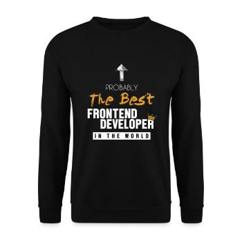 Best Frontend Developer World Engineer Software - Unisex Sweatshirt - black - Front - Alina (178cm) & Michal (187cm)