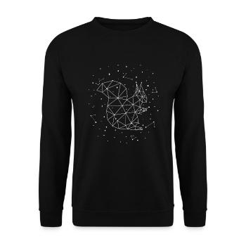 Sternbild Squirrel Constellation Eastern Gray Fox - Unisex Sweatshirt - black - Front - Alina (178cm) & Michal (187cm)