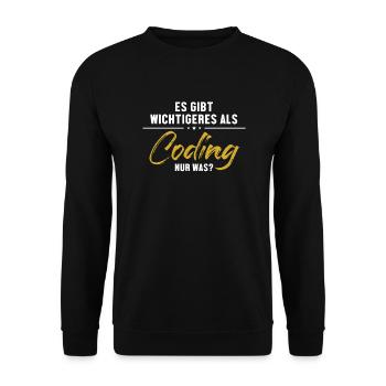 Wichtigeres als Coding Softwareingenieur Coder - Unisex Pullover - Schwarz - Vorne - Alina (178cm) & Michal (187cm)