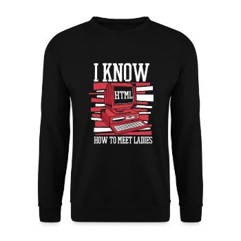 I Know Hot To Meet Ladies Developer Coder - Unisex Pullover - Schwarz - Vorne - Alina (178cm) & Michal (187cm)