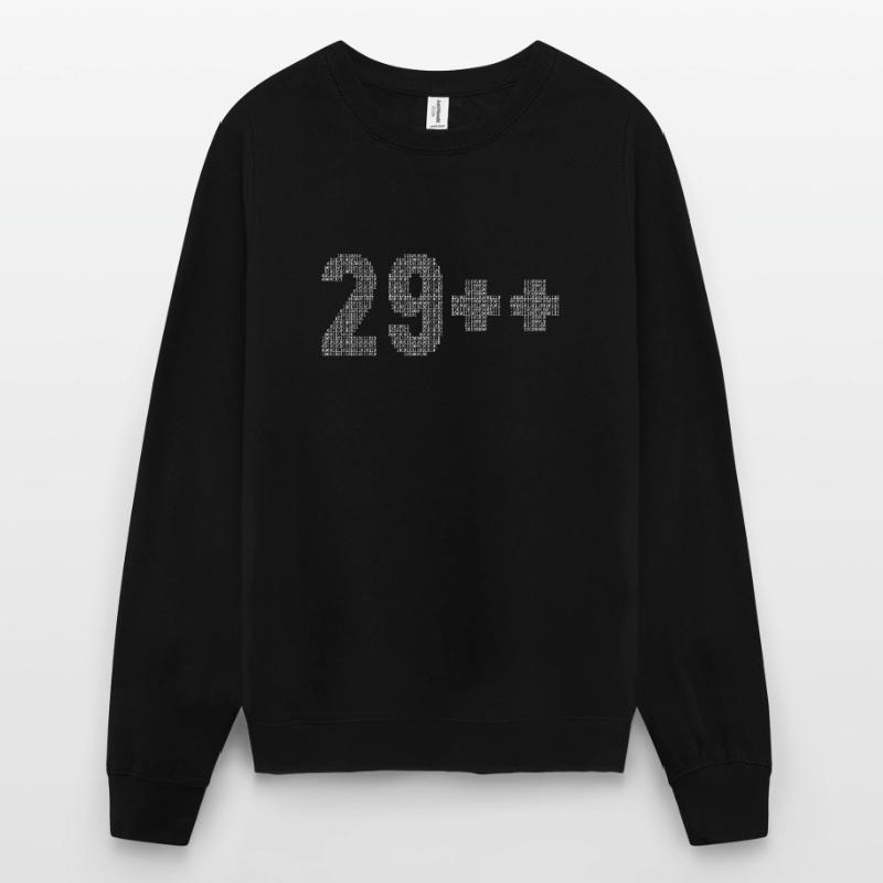 29++ Programmierer Softwareentwickler Coder 30. Unisex Pullover