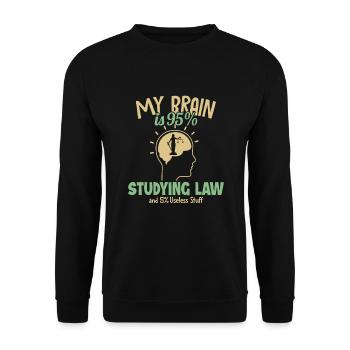 Mein Gehirn studiert zu 95% Jurastudenten - Unisex Pullover - Schwarz - Vorne - Alina (178cm) & Michal (187cm)