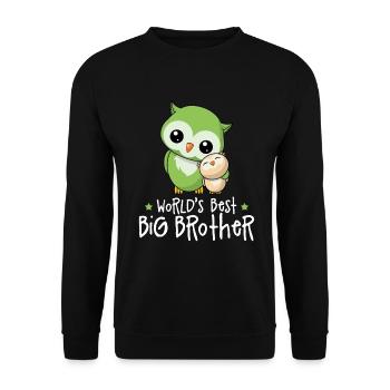 World's Best Big Brother - Big Brother Owls - Unisex Sweatshirt - black - Front - Alina (178cm) & Michal (187cm)