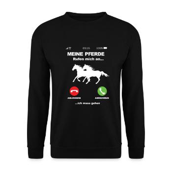 Mein Pferde Rufen an - Pferde lustige sprüche - Unisex Pullover - Schwarz - Vorne - Alina (178cm) & Michal (187cm)