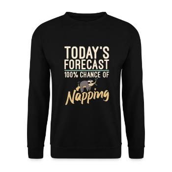 Faultier Liebhaber Faultier Geschenk - Unisex Pullover - Schwarz - Vorne - Alina (178cm) & Michal (187cm)