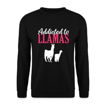 Lama Geschenk Lama Liebhaber Geschenk - Unisex Pullover - Schwarz - Vorne - Alina (178cm) & Michal (187cm)