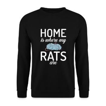 Rattenbesitzer Geschenk Ratten Liebhaber - Unisex Pullover - Schwarz - Vorne - Alina (178cm) & Michal (187cm)