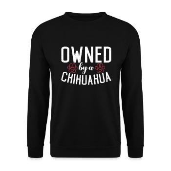 Chihuahua Cadeaux Chihuahua Propriétaire - Sweat-shirt Unisexe - noir - Devant - Alina (178cm) & Michal (187cm)