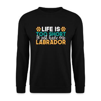 Labrador Liebhaber Geschenke - Unisex Pullover - Schwarz - Vorne - Alina (178cm) & Michal (187cm)