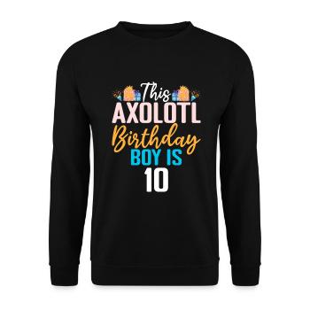 Axolotl Liebhaber Geschenke - Unisex Pullover - Schwarz - Vorne - Alina (178cm) & Michal (187cm)