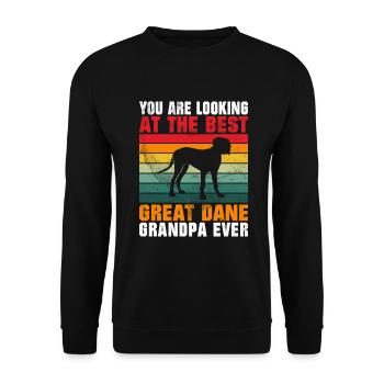 Great Dane Gifts - Unisex Pullover - Schwarz - Vorne - Alina (178cm) & Michal (187cm)