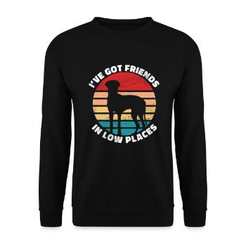 Great Dane Gifts - Unisex Pullover - Schwarz - Vorne - Alina (178cm) & Michal (187cm)