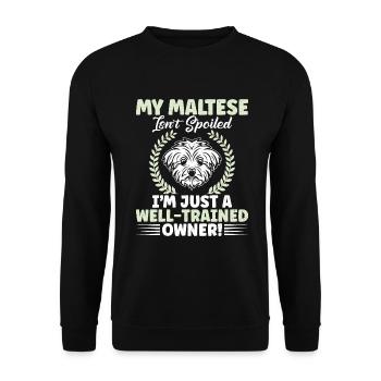 Cadeaux de propriétaire maltais - Sweat-shirt Unisexe - noir - Devant - Alina (178cm) & Michal (187cm)