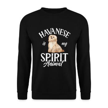 Cadeaux pour les amoureux des chiens bichons havanais - Sweat-shirt Unisexe - noir - Devant - Alina (178cm) & Michal (187cm)