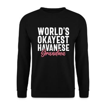 Gifts for Havanese Dog Lovers - Unisex Pullover - Schwarz - Vorne - Alina (178cm) & Michal (187cm)