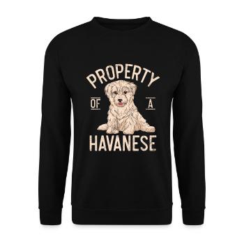 Gifts for Havanese Dog Lovers - Unisex Pullover - Schwarz - Vorne - Alina (178cm) & Michal (187cm)