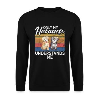 Gifts for Havanese Dog Lovers - Unisex Pullover - Schwarz - Vorne - Alina (178cm) & Michal (187cm)
