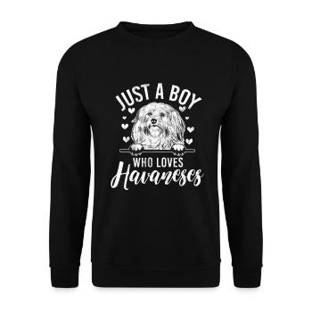 Cadeaux pour les amoureux des chiens bichons havanais - Sweat-shirt Unisexe - noir - Devant - Alina (178cm) & Michal (187cm)