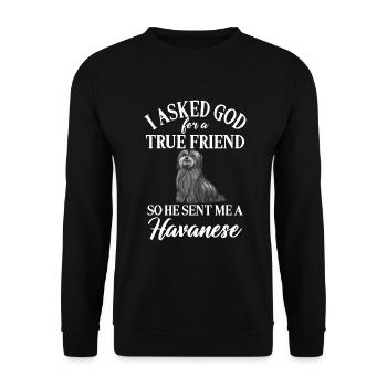 Cadeaux pour les amoureux des chiens bichons havanais - Sweat-shirt Unisexe - noir - Devant - Alina (178cm) & Michal (187cm)