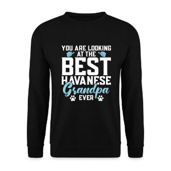 Gifts for Havanese Dog Lovers - Unisex Pullover - Schwarz - Vorne - Alina (178cm) & Michal (187cm)