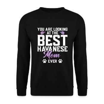 Gifts for Havanese Dog Lovers - Unisex Pullover - Schwarz - Vorne - Alina (178cm) & Michal (187cm)