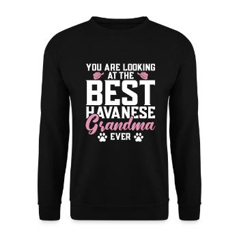 Gifts for Havanese Dog Lovers - Unisex Pullover - Schwarz - Vorne - Alina (178cm) & Michal (187cm)