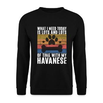 Gifts for Havanese Dog Lovers - Unisex Pullover - Schwarz - Vorne - Alina (178cm) & Michal (187cm)