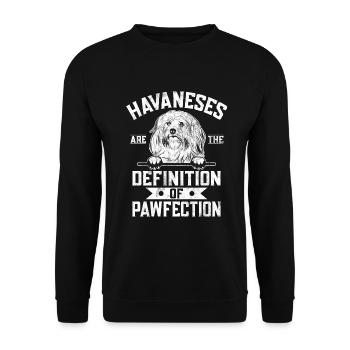 Cadeaux pour les amoureux des chiens bichons havanais - Sweat-shirt Unisexe - noir - Devant - Alina (178cm) & Michal (187cm)