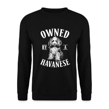 Gifts for Havanese Dog Lovers - Unisex Pullover - Schwarz - Vorne - Alina (178cm) & Michal (187cm)