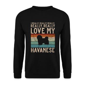 Cadeaux pour les amoureux des chiens bichons havanais - Sweat-shirt Unisexe - noir - Devant - Alina (178cm) & Michal (187cm)