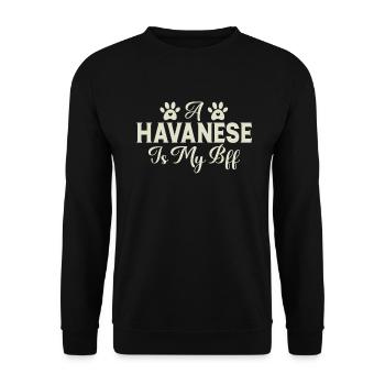 Gifts for Havanese Dog Lovers - Unisex Pullover - Schwarz - Vorne - Alina (178cm) & Michal (187cm)