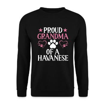 Gifts for Havanese Dog Lovers - Unisex Pullover - Schwarz - Vorne - Alina (178cm) & Michal (187cm)