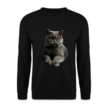 British Shorthair - Unisex Pullover - Schwarz - Vorne - Alina (178cm) & Michal (187cm)