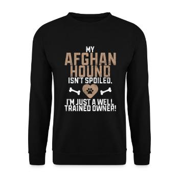 Afghan Hound Gifts - Unisex Pullover - Schwarz - Vorne - Alina (178cm) & Michal (187cm)